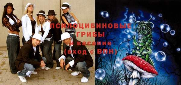 дживик Абаза