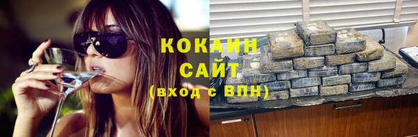 дживик Абаза